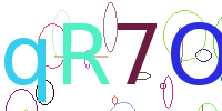 验证码